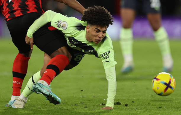 促进日本篮 促进日本篮